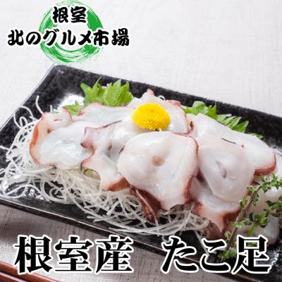 ふるさと納税 根室市 ＜12/21まで年内配送＞★たこ足800g前後〜1.4kg前後×1本 A-76028