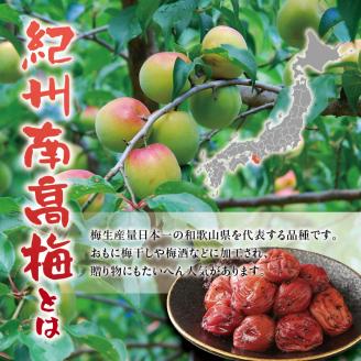 紀州南高梅　うす塩【ハチミツ無】 塩分10%（1.5kg）なかやまさんちの梅干  うめ　ウメ【nky003-115k】