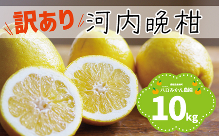 【先行予約】訳あり 河内晩柑 10kg  (発送期間：2027年4月上旬～無くなり次第終了) 八百みかん農園 愛媛県 愛南町