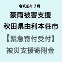 【ふるさと納税】【令和6年7月豪雨被害支援緊急寄附受付】秋田県由利本荘市災害応援寄附金（返礼品はありません）