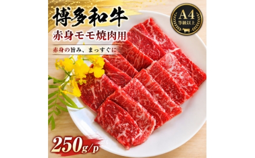 この味プレミアム!＜A4～A5＞博多和牛赤身モモ焼肉用 250g【1767639】