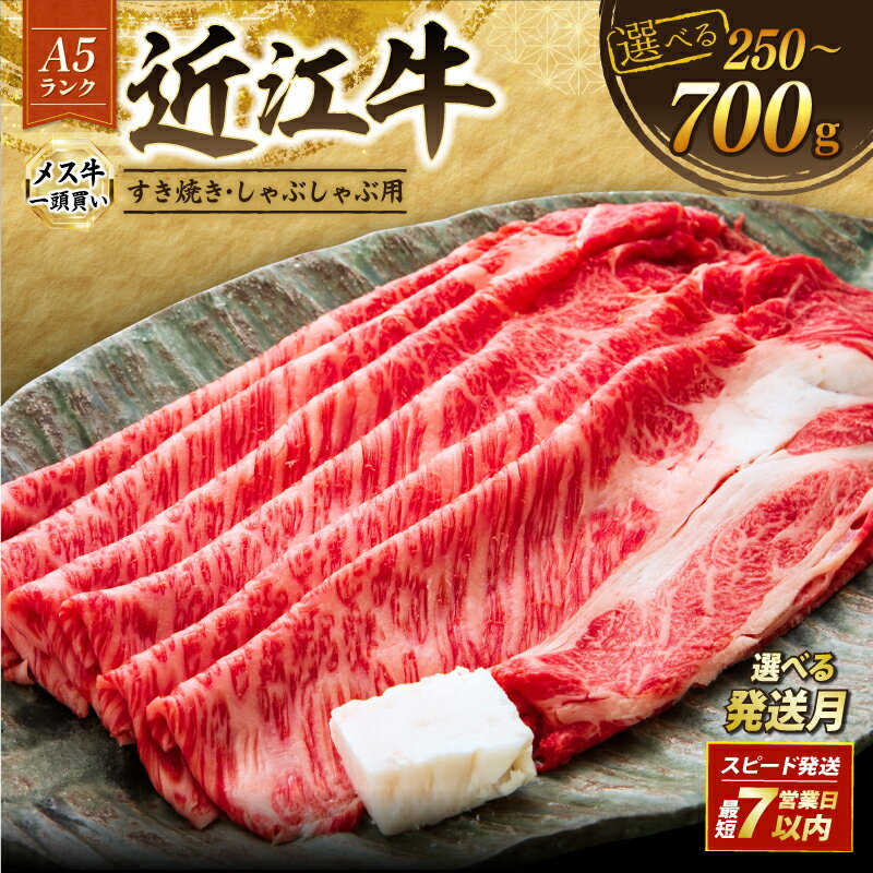 【ふるさと納税】 近江牛 A5 特上ロース すき焼き 選べる 容量 発送月 250g 500g 700g 最短7営業日以内 A5ランク 牛肉 滋賀 彦根 メス牛 特上 近江牛ロース ロース 牛肉 肉 和牛 黒毛和牛 国産牛 日本三大和牛 雌牛 ブランド牛 すきやき しゃぶしゃぶ お歳暮 おすすめ
