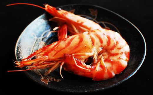 種子島 産 【３L 】 車えび （250ｇ×2＝500ｇ）　NFN553　325ｐｔ // 安全 元気 食べ応え抜群 ジャンボサイズ 真空パック 加熱用 特大サイズ 見栄え 活きえび 生エビ 新鮮 黒