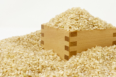 	【令和5年産新米】【特別栽培米】【玄米】鈴木・ファーム「ササニシキ」10kg(5kg×2袋)_A103(R5)