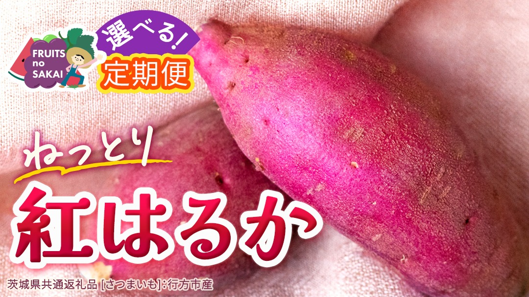 ＼選べる発送方法／ 紅はるか 約 2.5kg （茨城県共通返礼品 [さつまいも]：行方市産） 単品（1回）・定期便（3回 / 6回） べにはるか さつまいも 生芋 芋 サツマイモ 甘い 焼き芋 スイートポテト ねっとり 茨城県産 お取り寄せ 野菜 根菜 いも