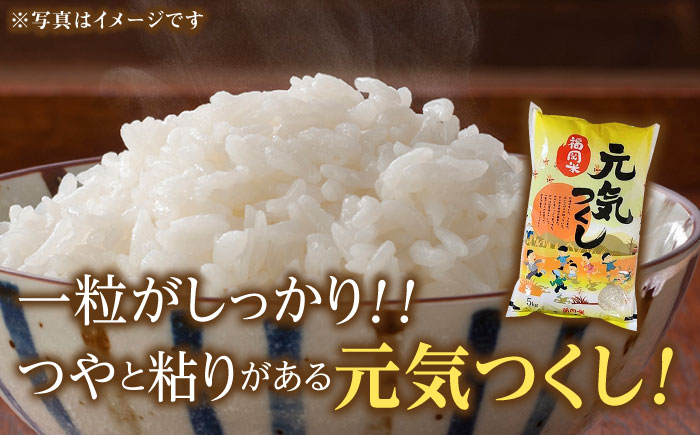 【令和5年産】福岡県産米食べ比べ「夢つくし」と「元気つくし」セット 無洗米 計20kg《築上町》【株式会社ゼロプラス】 [ABDD016] お米 白ご飯 夢つくし ブランド米 おにぎり