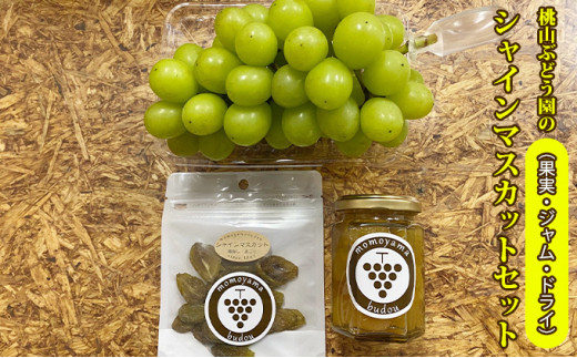 
            【早期予約】桃山ぶどう園のシャインマスカットセット（果実・ジャム・ドライ）　※北海道・沖縄・離島への配送不可　※2024年9月中旬頃より順次発送予定
          
