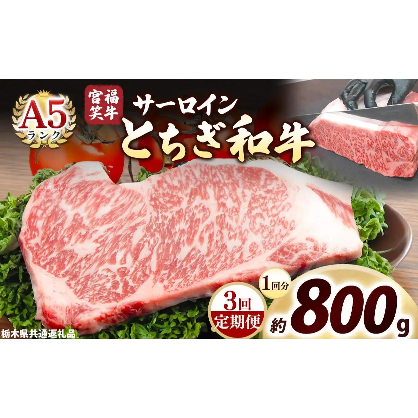 [定期便3回]宮福笑牛(とちぎ和牛) A5 サーロインステーキ 200g×4枚｜数量限定 黒毛 和牛 牛肉 国産牛 国産 ブランド牛 お肉 切り落とし サシ 霜降り 甘い ステーキ すき焼き しゃぶしゃぶ 焼肉 切落し 上品 アレンジ 美味しい 料理 主婦 とちぎ  栃木県 矢板市