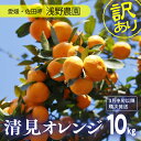 【ふるさと納税】【先行予約】訳あり 清見オレンジ計10kg｜柑橘 みかん ミカン フルーツ 果物 愛媛 ※2025年3月上旬頃より順次発送予定 ※離島への配送不可