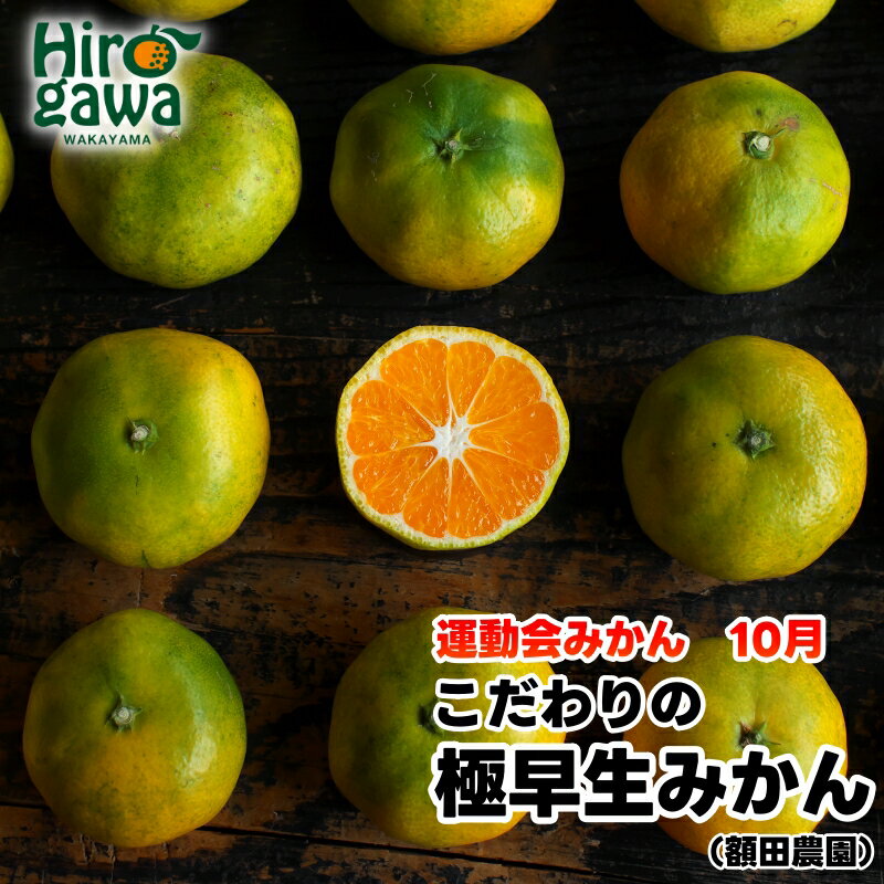 【ふるさと納税】 極早生 みかん 家庭用 / 極早生みかん 温州みかん 甘い 家庭用 和歌山 柑橘 5kg 10kg 5000円 10000円 ※10月上旬～11月上旬順次発送 ※北海道・沖縄・離島への配送不可 //goku