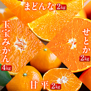 【発送月固定定期便】「蜜時(みつどき)便り」愛媛限定のまどんなや甘平も届きます【H64-92】全4回【4069712】 YWTY081