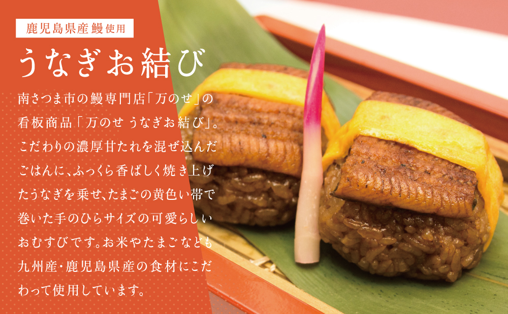 【鹿児島県産 鰻】万のせうなぎお結び9個 国産 ウナギ 鰻 オニギリ 冷凍おにぎり 蒸しおむすび ご飯 鹿児島県産米 小分け 簡単調理 おかず お惣菜 南さつま市 贈り物 ギフト 贈答用