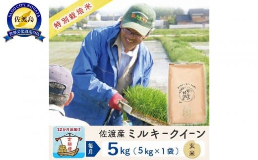 【新米予約 12か月定期便】佐渡島産ミルキークイーン 玄米5Kg 令和7年 特別栽培米