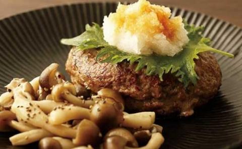【矢野畜産】詰め合わせAセット 産地直送 くまもと 国産 熊本 阿蘇 和牛 あか牛 褐毛和種 あかげわしゅ 切り落とし 500g 赤身 プレミアムハンバーグ 150g 5個 矢野畜産 にくやの 老舗 おうちごはん おうち時間 通販 贈答 ギフト 阿蘇の自然の宝物