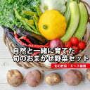 【ふるさと納税】自然と一緒に育てた旬のおまかせ野菜セット 6〜7種類 冷蔵便 ※離島・沖縄・北海道への発送不可 農家直送 産地直送 採れたて 自然栽培 詰め合わせ 詰合せ 東北 山形県 遊佐町 庄内