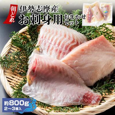 ふるさと納税 南伊勢町 伊勢志摩産 朝どれ新鮮 2〜3種 約800g お刺身用 おまかせセット 城水産が真空でお届け