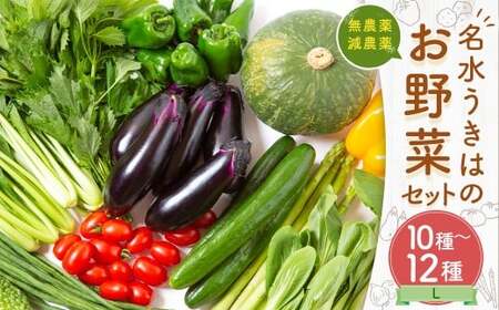 UIC 名水うきはのお野菜セットL