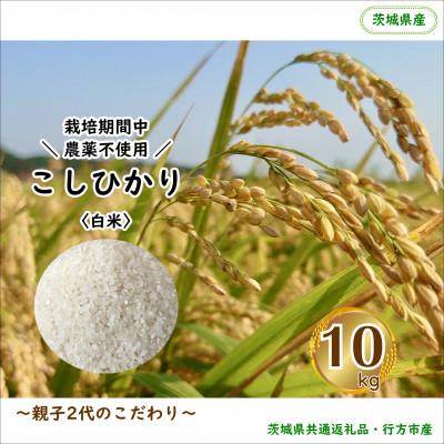 ふるさと納税 行方市 令和8年産新米【栽培期間農薬不使用】こしひかり白米10kg