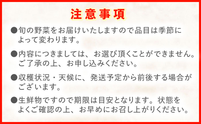 【12回定期便】野菜等詰め合わせプレミアムセット(7～10品目) / 野菜 果物 フルーツ くだもの きのこ しそ / 諫早市 / 松尾農園 [AHAY027]