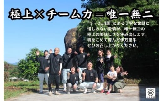 伊万里牛切落とし 900g 【川原畜産】 208-J1681