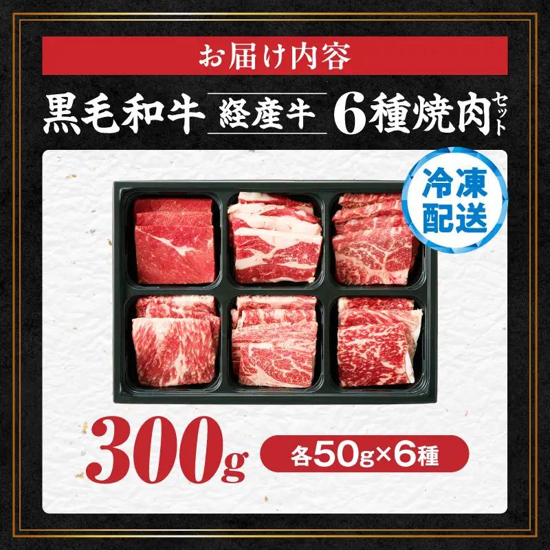 ≪訳あり≫黒毛和牛(経産牛)6種焼肉セット(合計300g) 肉 牛 牛肉 おかず 国産_T030-1198