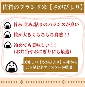 CI403_【玄米】さがびより１０㎏（５㎏×２袋）【５回定期便】