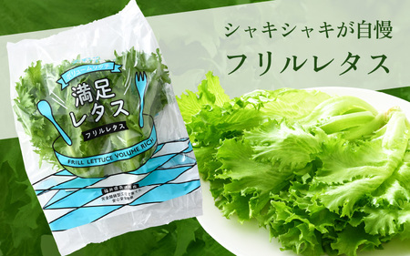 美浜の水で育った ピュアレタス 6個セット 低カリウムレタス&フリルレタス【栽培期間中 農薬不使用 野菜 生野菜 レタス 詰め合わせ グリーンリーフ サラダ サンドイッチ お弁当 水耕栽培 洗わず食べ