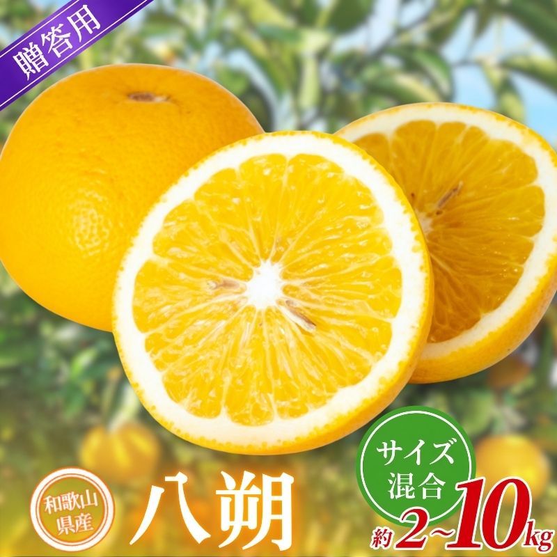 【ふるさと納税】【贈答用】 森本農園の手選別 八朔 約2kg 5kg 10kg 和歌山県産 サイズ混合 【北海道・沖縄・離島配送不可】【2027年1月中旬～4月中旬頃に順次発送】 はっさく