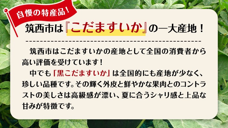 【 JA北つくば 】 黒こだますいか 「 誘惑のひとみ 」 4〜5玉 先行予約 スイカ 果物 フルーツ [AE004ci]