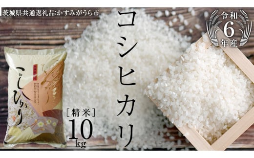 【 令和6年産 】 コシヒカリ 精米 10kg ( 10kg × 1袋 ) (茨城県共通返礼品 かすみがうら市) 米 ごはん もっちり 甘い コメ お米 白米 [EX002sa]