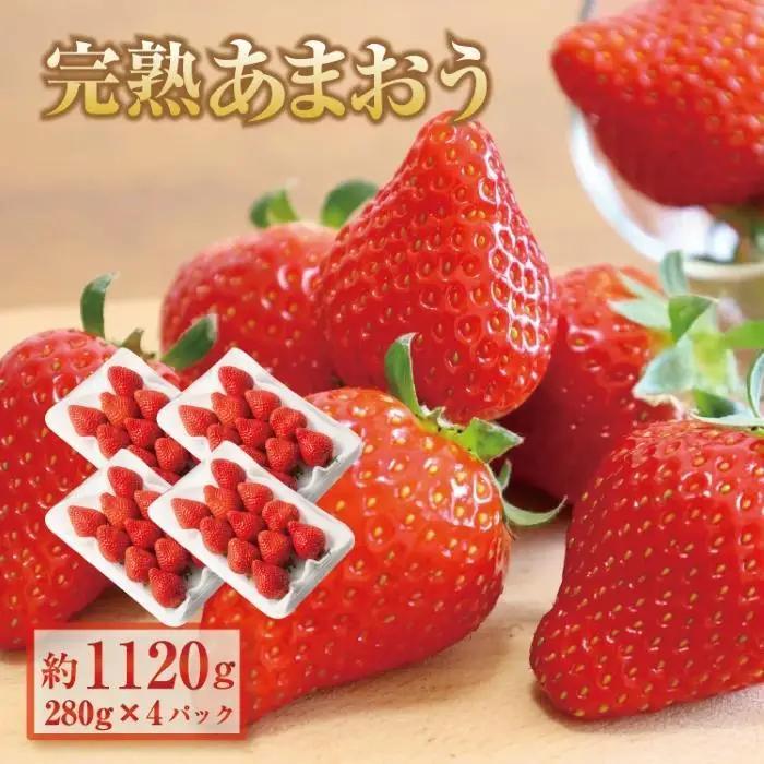 【2027年1月～2月出荷予定】完熟 あまおう イチゴ 280g×4パック(約1120g)＜配送不可：北海道、沖縄県、離島＞