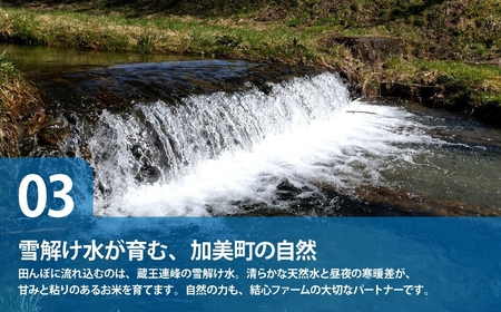 無洗米 令和8年産 つや姫 10kg 無洗