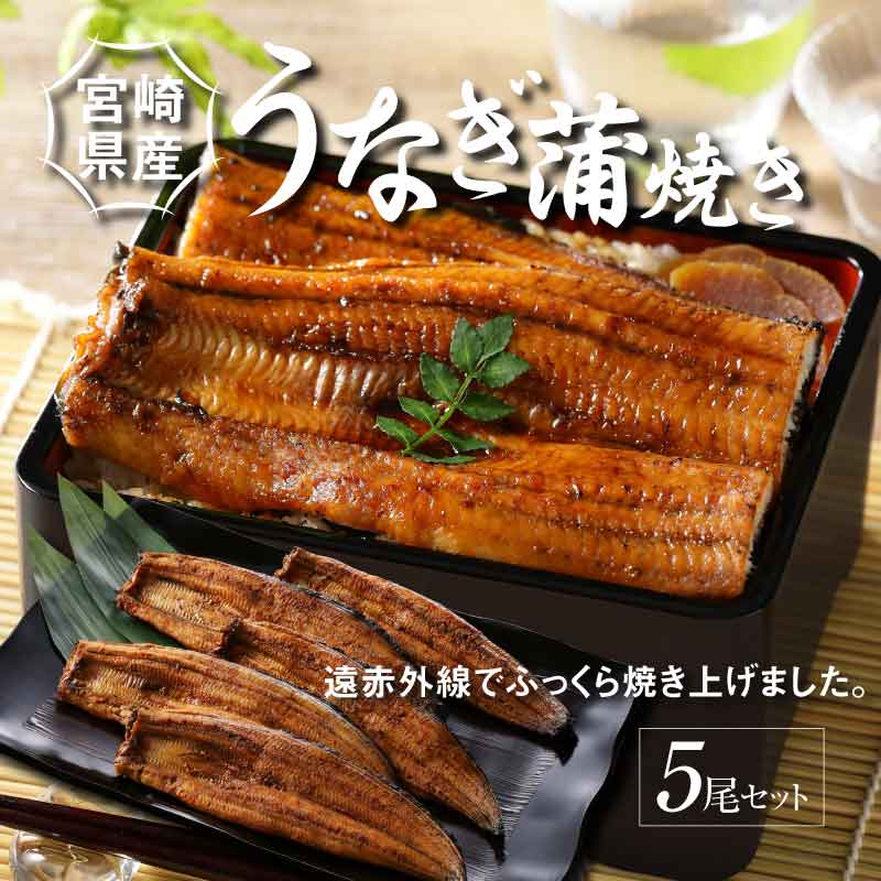宮崎県産うなぎ蒲焼き 5尾セット_K10_0011_3