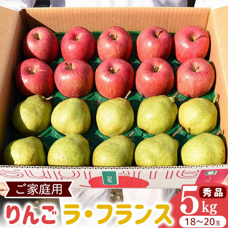 【ふるさと納税】令和8年産 《ご家庭用》りんご と ラ・フランス 秀品 合計 5kg（18 - 20玉） 2026年産 山形県産【2026年12月上旬頃から下旬頃発送予定】 お取り寄せ ご当地 特産 産地直送 果物 フルーツ 新鮮 季節 冬 詰合せ セット 東北 ラフランス 5キロ