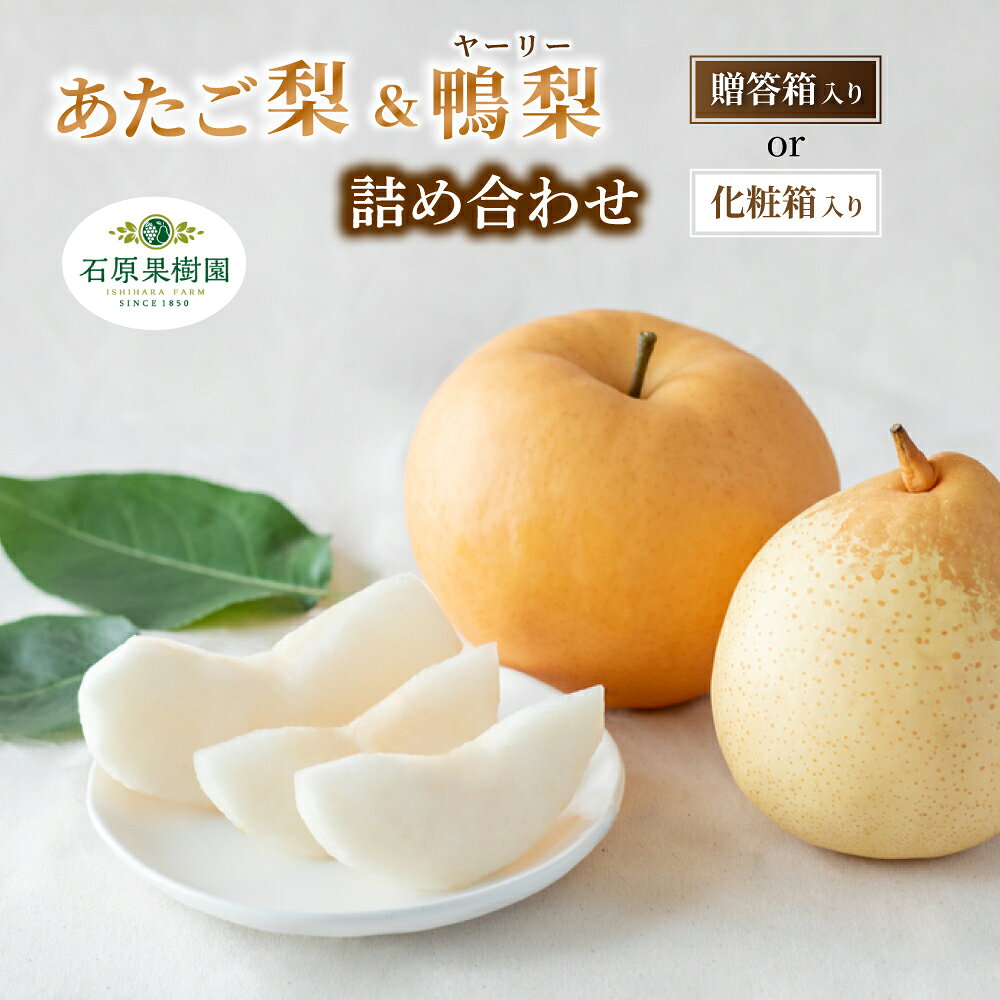 【ふるさと納税】 梨 詰め合わせ あたご梨 ヤーリー梨 愛宕梨 鴨梨 先行予約 2kg 3kg 4kg 贈答箱 化粧贈答箱 赤秀 岡山県産 | 特選品 上級品 贈り物 御歳暮 果物 くだもの フルーツ 和梨 石原果樹園 贈答品 岡山県 真庭市
