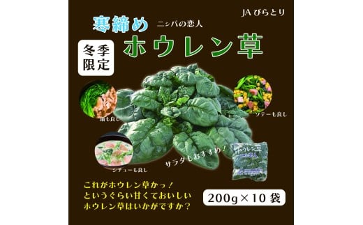 【先行予約/12月中旬以降発送】【北海道平取町産】寒締めホウレン草（ちぢみほうれん草）200g×10袋 【 ふるさと納税 人気 おすすめ ランキング ほうれん草 ちぢみほうれん草 ホウレン草 寒締め 野菜 産地直送 北海道産 北海道 平取町 送料無料 】 BRTO003