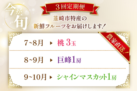 【2026年発送！先行予約！】ちっとばかしフルーツ3回定期便 桃 巨峰 シャインマスカット 【年3回】NS-1016