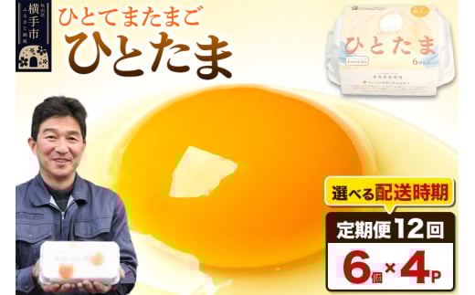《定期便12ヶ月》ひとたま 6個×4P【発送時期が選べる】