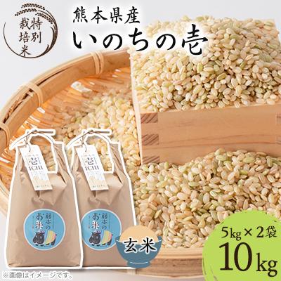 ふるさと納税 南阿蘇村 熊本県南阿蘇村産 令和7年産 特別栽培米 いのちの壱(玄米) 計10kg(5kg×2)【虹色のかば】