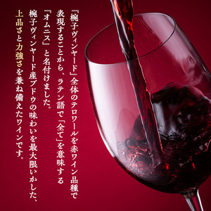 ワイン 椀子オムニス 赤ワイン フルボディ 750ml 3本 お酒 酒 アルコール