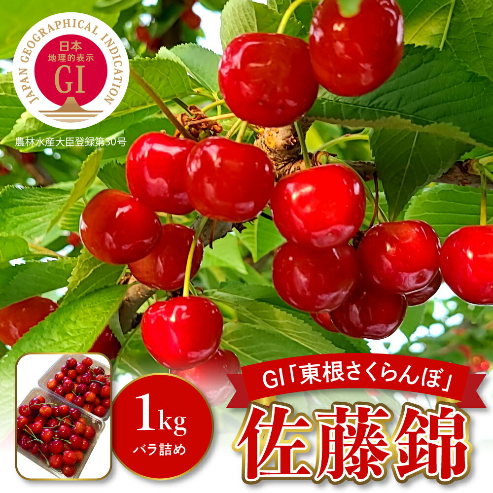 【ふるさと納税】【 数量限定 】 2025年産 GI東根 さくらんぼ 佐藤錦 1kg 秀品 Lサイズ バラ詰め /フルーツ 果物 くだもの サクランボ チェリー 小分け 箱入り 化粧箱 期間限定 冷蔵配送 大容量 特産 産地 直送 東北 山形県 東根市