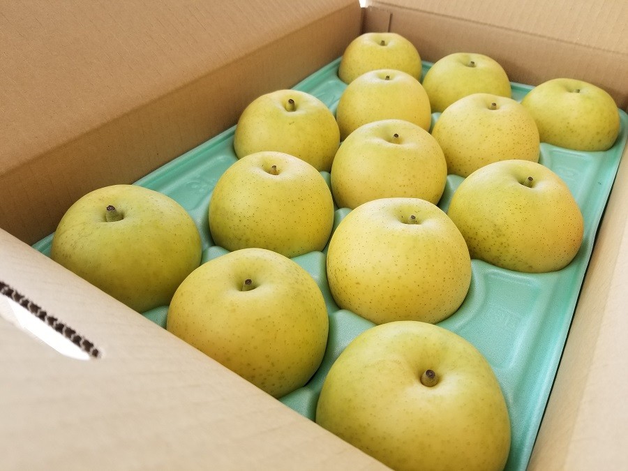 松川町では完熟に近い状態まで樹上で実らせ、甘みを引き出します。