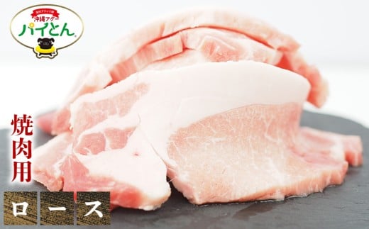 アグー豚　パイとん　焼肉用【ロース】600g あぐー アグー あぐー豚肉 アグー肉 ロース肉 パイとん 真空パック 選べる ブランド豚 パイン 焼肉 肉巻き 豚汁 沖縄北斗 とんかつ 沖縄の豚肉 ヤンバル やんばる 沖縄 東村