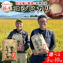 【ふるさと納税】 《 選べる 内容量 》令和6年新米 茨城県産 コシヒカリ 5kg ～ 10kg 令和6年産 新米 単一原料米 精米 米 お米 コメ 白米 こしひかり 茨城県