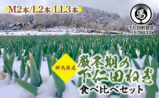 厳冬期の下仁田ねぎ食べ比べセット（M2本・L2本・LL3本）とろける 甘い ねぎ ネギ 王様ねぎ 特産 栄養たっぷり ブランド 上州ねぎ すきやき F21K-564