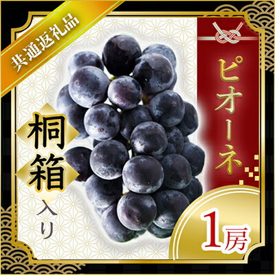 【ふるさと納税】【2025年7月より順次発送予定】ピオーネ　桐箱入り1房(県内共通返礼品:かすみがうら市産)【配送不可地域：離島・沖縄県】 (BR068)