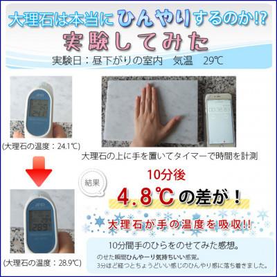 ふるさと納税 大野町 大理石ペットひんやりボード 40×40センチ ビアンコカラーラ イタリア産　1枚 |  | 03
