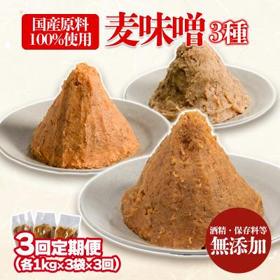 ふるさと納税 松前町 【3回定期便】麦みそ 3種セット 1kg 各3個 計9kg　ギノーみそ【GNM013】