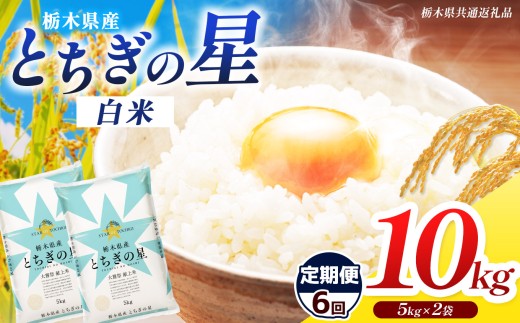 【栃木県共通返礼品】【先行予約】【令和8年度産】【定期6回】栃木県産とちぎの星 10kg |定期便 選べる ふるさと 納税 とちぎの星 お米 精米 白米 玄米 大粒 共通返礼品 送料無料 那珂川町 栃木県