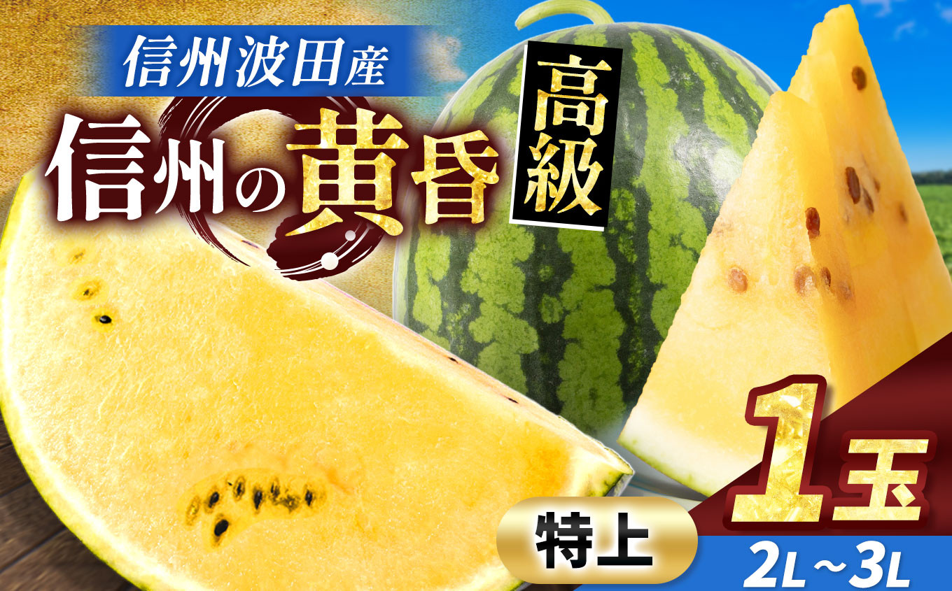 
            【先行受付：2026年7月発送】信州波田産 甘いスイカ！ 信州の黄昏 ( 金色羅皇 ) 【特上】 2L～3Lサイズ 1玉｜ふるさと納税 長野県 信州 松本 果物 フルーツ すいか スイカ 西瓜 大きい 特別 珍しい 黄色スイカ 贈答 季節限定 甘い くだもの ふるーつ
          